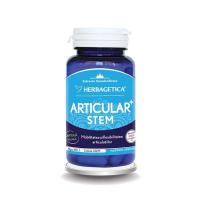 Articular stem