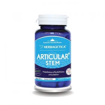 Articular+ stem  60 cps HERBAGETICA