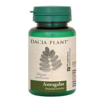 Astragalus 60 cpr DACIA PLANT