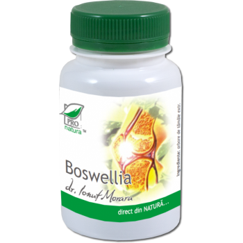 Boswellia 60 cps PRO NATURA