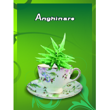 Ceai de anghinare 50 gr CYANI