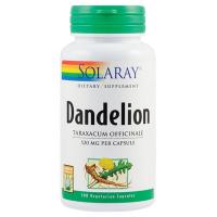 Dandelion (papadie)