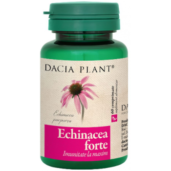 Echinacea forte  60 cpr DACIA PLANT