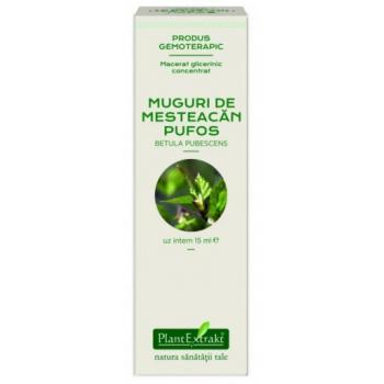 Extract concentrat din muguri de mesteacan pufos - betula pubescens mg 15 ml PLANTEXTRAKT