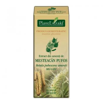 Extract din amenti de mesteacan pufos - betula pubescens amenti mg=d1 50 ml PLANTEXTRAKT
