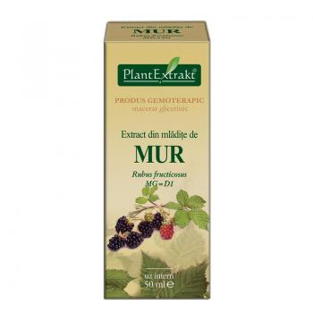 Extract din mladite de mur - rubus fructicosus mg=d1 50 ml PLANTEXTRAKT