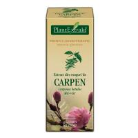 Extract din muguri de carpen - carpinus betulus mg=d1