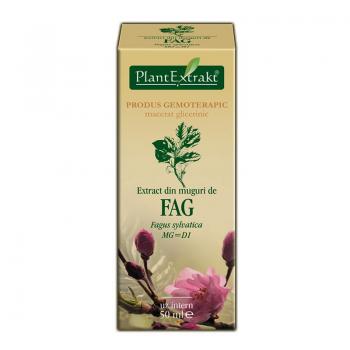 Extract din muguri de fag - fagus sylvatica mg=d1 50 ml PLANTEXTRAKT