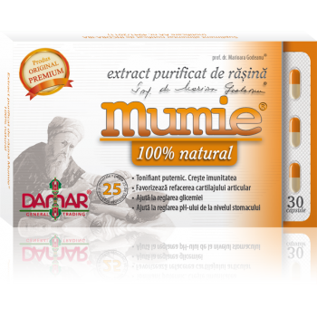 Extract purificat de rasina mumie 100% natural-capsule 30 cps DAMAR