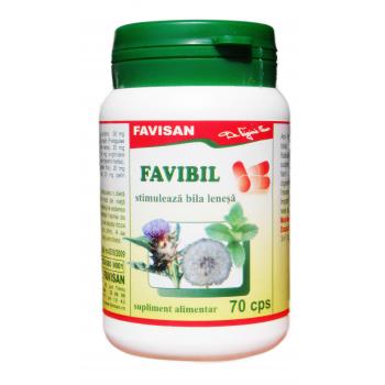 Favibil b101 70 cps FAVISAN