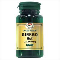 Ginkgo max extract 