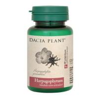 Harpagophytum DACIA PLANT