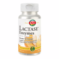 Lactase enzyme active