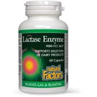 Lactase enzyme - lactaza