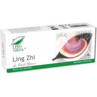Ling zhi