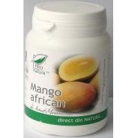 Mango african