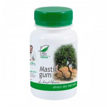 Mastic gum 60 cps PRO NATURA