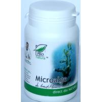 Microalge