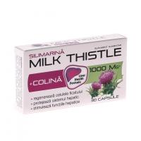 Milk thistle + colina