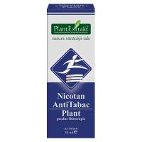 Nicotan antitabac plant