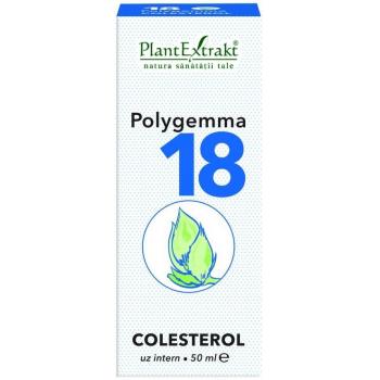 Polygemma 18 - colesterol 50 ml PLANTEXTRAKT