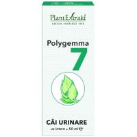 Polygemma 7 - cai urinare