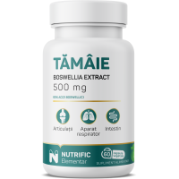 Tamaie Boswellia Extract 500mg 60cps vegeta NUTRIFIC