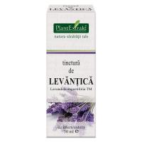 Tinctura de levantica- lavandula angustifolia tm