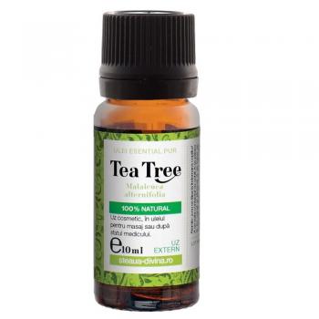 Ulei esential de tea tree 10 ml STEAUA DIVINA