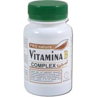 Vitamina b complex natural
